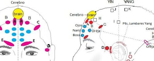 Miniatura del curso